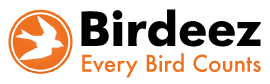 Birdeez Logo